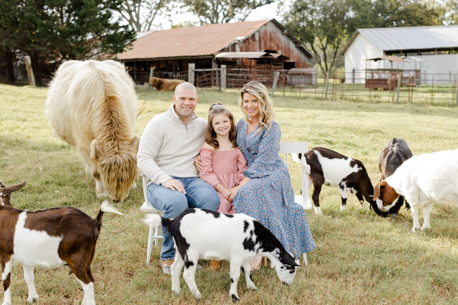 A family of 3 sits on a bench by highland cows and goats in Lawrenceville, Georgia